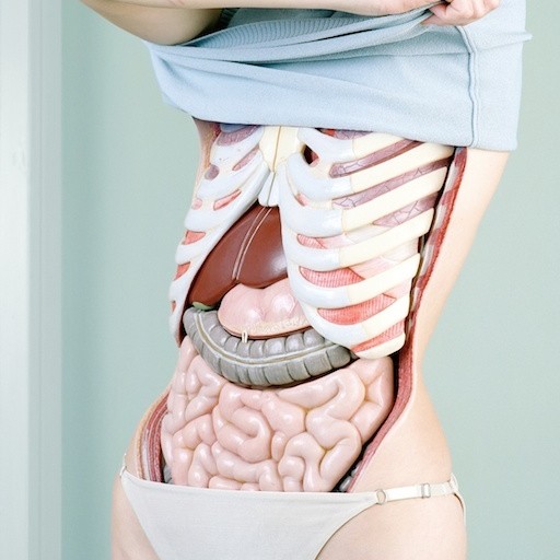 ženska anatomija